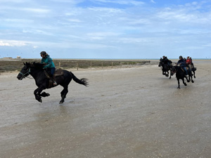 randonnée à cheval France Occitanie photo 4