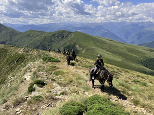 randonnée à cheval France Occitanie photo 2