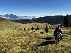 randonnée à cheval France Occitanie photo 4