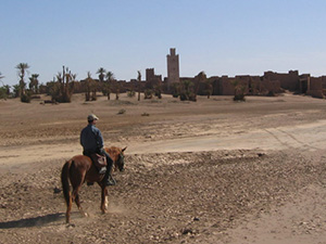 randonnée à cheval Maroc Sud photo 2