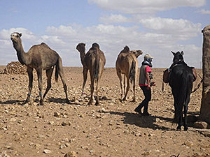 randonnée à cheval Maroc Sud photo 5