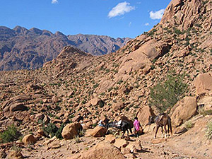 randonnée à cheval Maroc Anti-Atlas photo 2