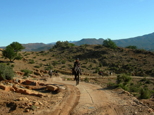 randonnée à cheval Maroc Haut-Atlas photo 2