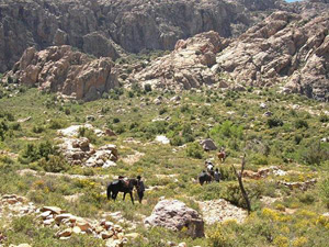 randonnée à cheval Maroc Haut-Atlas photo 4