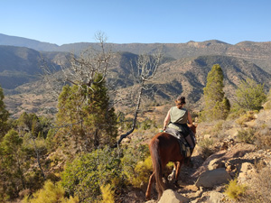 randonnée à cheval Maroc Haut-Atlas photo 4