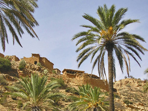 randonnée à cheval Maroc Haut-Atlas photo 5