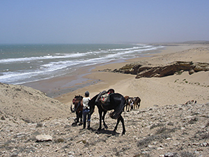 randonnée à cheval Maroc Côte Atlantique photo 4