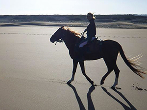 randonnée à cheval Maroc Côte Atlantique photo 5