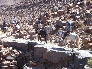 randonnée à cheval Maroc Sud photo 2