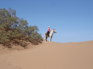 randonnée à cheval Maroc Sud photo 1