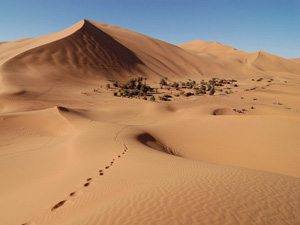 randonnée à cheval Maroc Sud photo 3