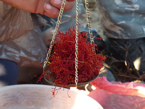 randonnée à cheval Maroc Sud photo 4