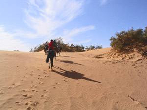 randonnée à cheval Maroc Sud photo 5