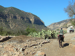 randonnée à cheval Maroc Atlas photo 1