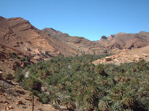 randonnée à cheval Maroc Atlas photo 4