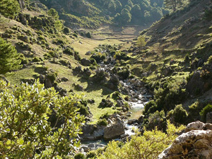 randonnée à cheval Maroc Moyen-Atlas photo 1