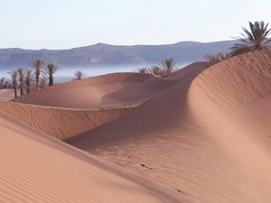 randonnée à cheval Maroc Sud photo 2