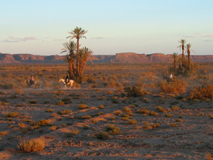 randonnée à cheval Maroc Sud photo 1