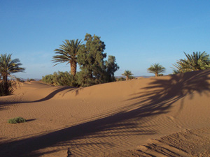 randonnée à cheval Maroc Sud photo 2