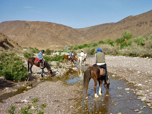 randonnée à cheval Maroc Sud photo 4