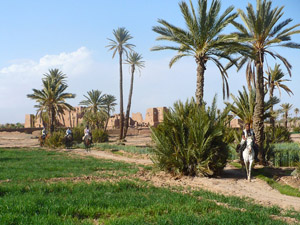 randonnée à cheval Maroc Sud photo 2