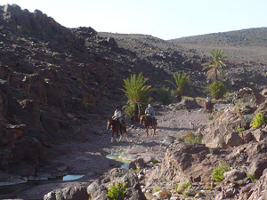 randonnée à cheval Maroc Sud photo 5