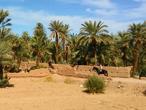 randonnée à cheval Maroc Sud photo 1