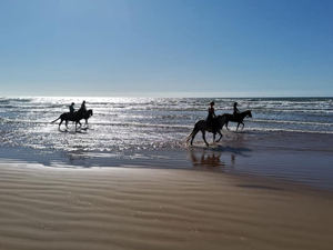 randonnée à cheval maroc côte atlantique la ronde de taghazout*