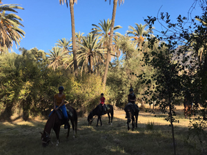 randonnée à cheval Maroc Côte Atlantique photo 2