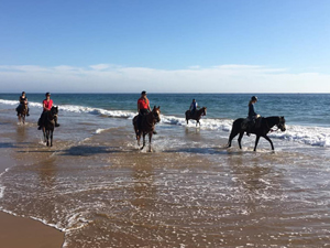 randonnée à cheval maroc côte atlantique la ronde de taghazout**