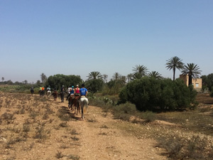 randonnée à cheval Maroc Côte Atlantique photo 2