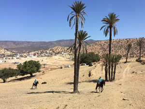 randonnée à cheval Maroc Côte Atlantique photo 4