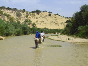 randonnée à cheval Maroc Côte Atlantique photo 2