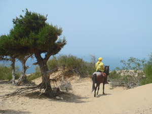 randonnée à cheval Maroc Côte Atlantique photo 4