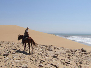 randonnée à cheval Maroc Côte Atlantique photo 7