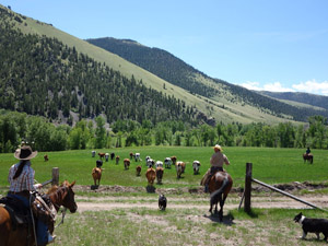 randonnée à cheval Etats-Unis Montana photo 2