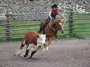 randonnée à cheval Etats-Unis Montana photo 5