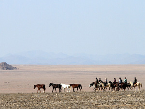 randonnée à cheval Namibie Désert du Namib photo 1