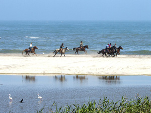 randonnée à cheval Namibie Désert du Namib photo 5