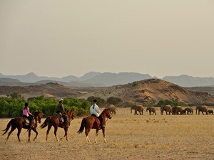 randonnée à cheval namibie damaraland les elephants du damaraland