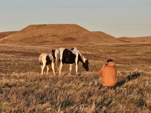 randonnée à cheval USA North Dakota photo 3