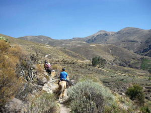 randonnée à cheval Pérou Arequipa photo 6