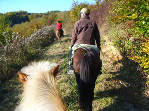 randonnée à cheval France Picardie photo 4