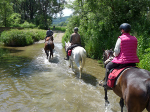 randonnée à cheval pologne basses-carpates les vallées de bieszczady