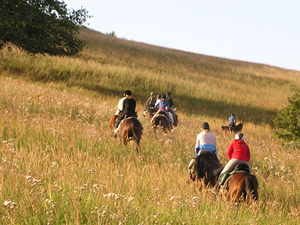 randonnée à cheval Pologne Basses-Carpates photo 2