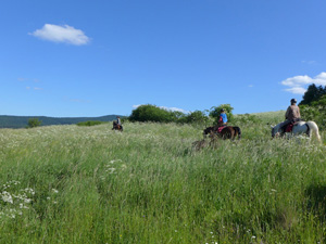 randonnée à cheval Pologne Basses-Carpates photo 5