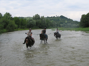 randonnée à cheval Pologne Basses-Carpates photo 3
