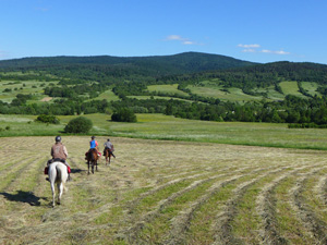 randonnée à cheval Pologne Basses-Carpates photo 4