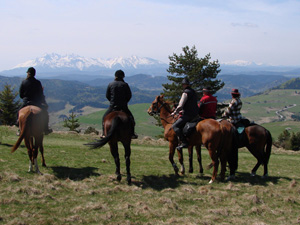 randonnée à cheval Pologne Basses-Carpates photo 1