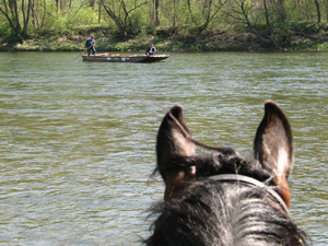 randonnée à cheval Pologne Basses-Carpates photo 2